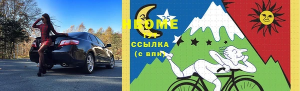 молекула духа Новозыбков