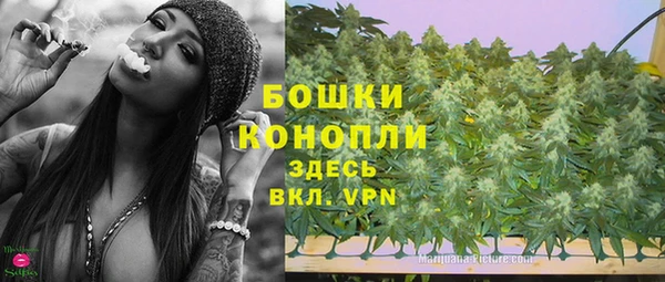 молекула духа Балабаново