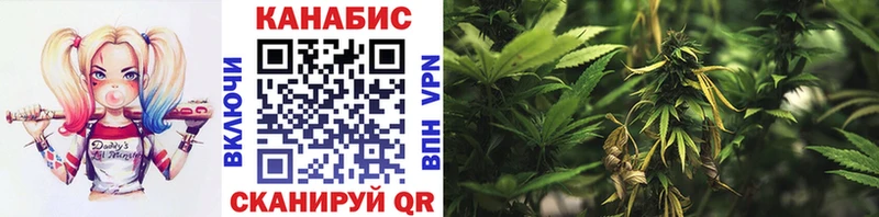 Каннабис марихуана Ивангород